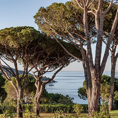 Lily Of The Valley Hotel 5*