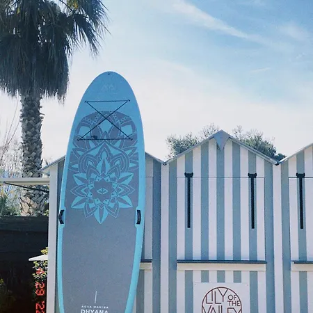 Hotel Lily Of The Valley 5*