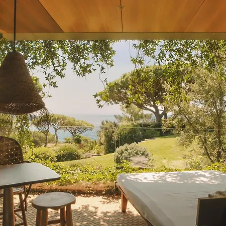 Lily Of The Valley La Croix-Valmer