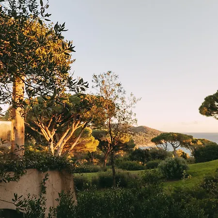 Lily Of The Valley Hotel La Croix-Valmer